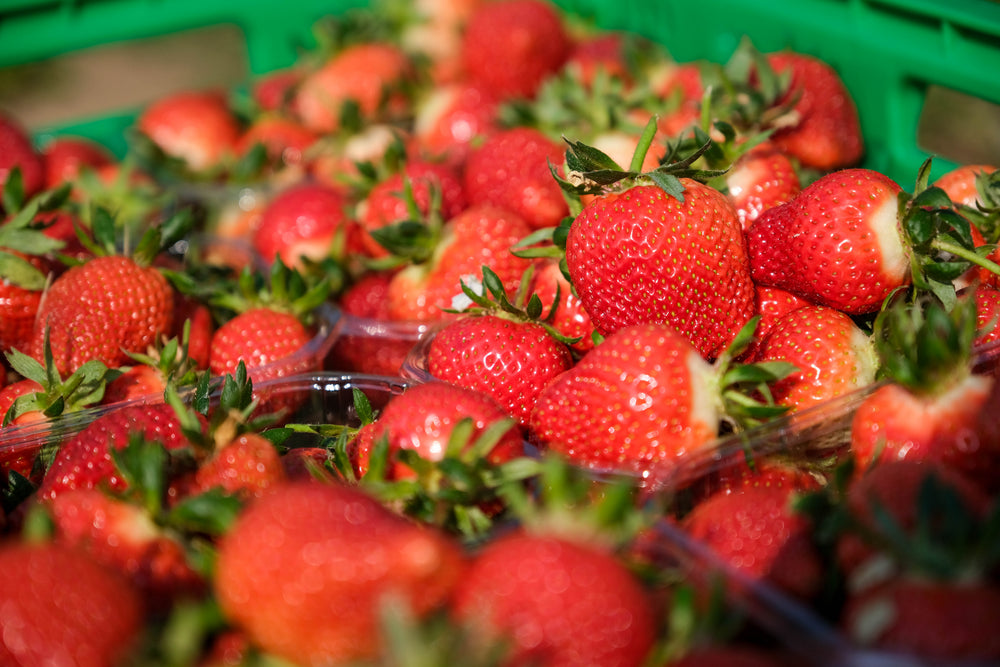 Fragole e piccoli frutti